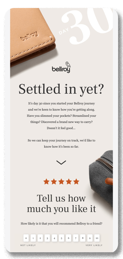 Screenshot of an email campaign from Bellroy, aimed at encouraging the reader to take a survey